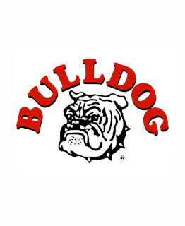 Bulldog